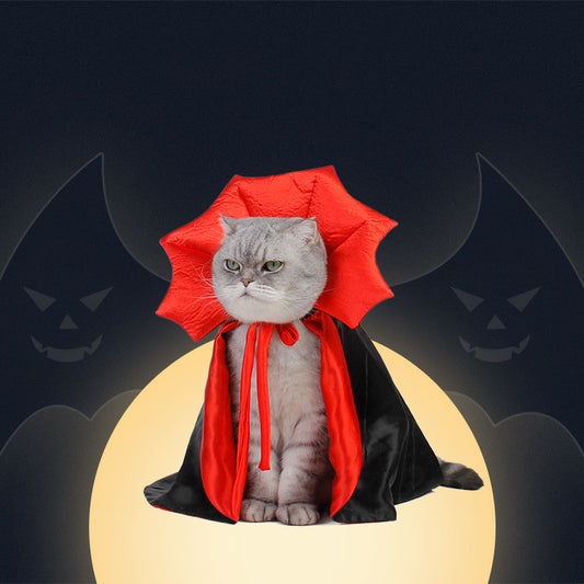 Halloween Cat Vampire, Dracula Costume